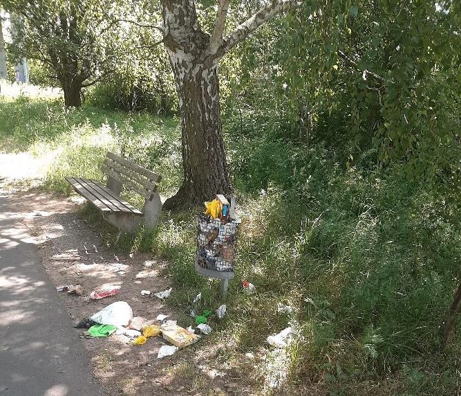 Müllablagerung in Rödermark